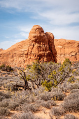 Fototapeta premium Dry vegetation at Arches National Park in the desert of Utah - travel photography