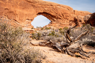 Arches National Park in Utah - famous landmark - travel photography