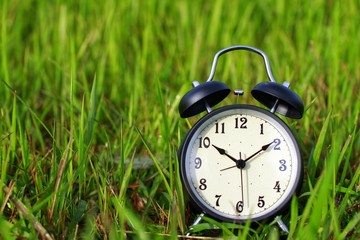 alarm clock on green grass