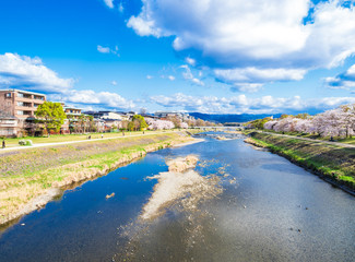 春の京都　鴨川