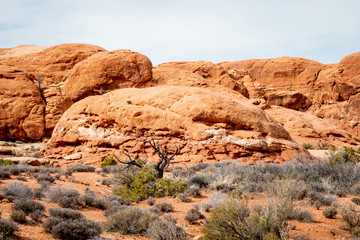 Fototapeta premium Arches National Park - most beautiful place in Utah - travel photography