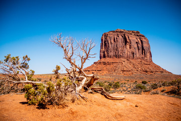 Monument Valley in Utah Oljato - travel photography