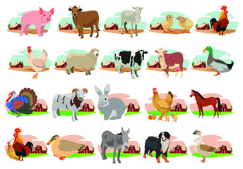 Farm animals