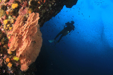 Fototapeta na wymiar Scuba dive on coral reef 