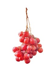 Red grapes are a beautiful bunch to eat.