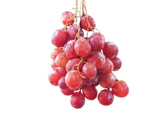Fototapeta premium Red grapes are a beautiful bunch to eat.