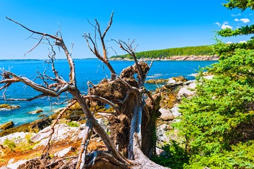 Acadia National Park is Atlantic coast recreation area. Its landscape is marked by woodland, rocky beaches and glacier-scoured granite peaks such as Cadillac Mountain, the highest point on the United 