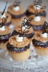 Beautiful Cupcakes