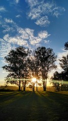 Fototapeta premium sunset in the park