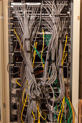 network cables connected to switch