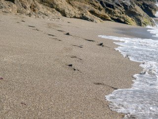 Sand background Footprint