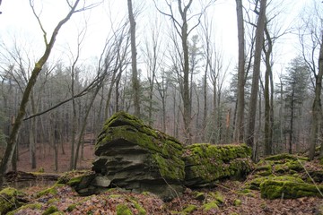 Escarpment,  Ontario Nature, Canada