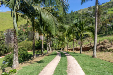 Obraz premium Road in the middle of beautiful green grass surrounded by coconut trees with mountains in the background