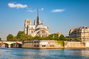 Notre Dame de Paris at spring, France - obrazy, fototapety, plakaty