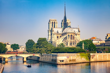 Fototapeta na wymiar Notre Dame de Paris at spring, France