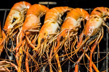 Grilled shrimp barbeque in the home garden seafood in Thailand 
