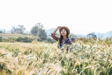 Naklejka na ściany i meble Woman farmer with barley field harvesting season