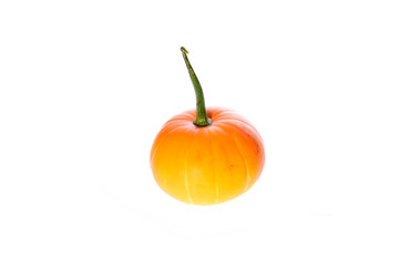 Pumpkin isolated on a white background