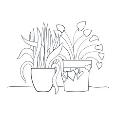 houseplants with potted isolated icon
