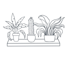 houseplants with potted on shelf isolated icon