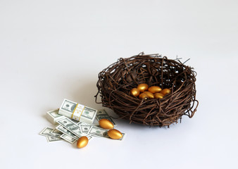 Dollars and golden eggs with straw nest.