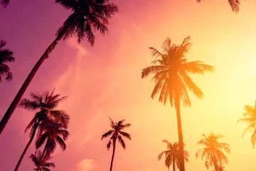 Fotobehang Tropische palmboom met kleurrijke bokeh zonlicht op zonsondergang hemel wolk abstracte achtergrond. © tonktiti
