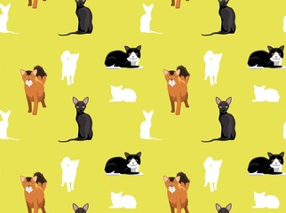 Cat Wallpaper 11