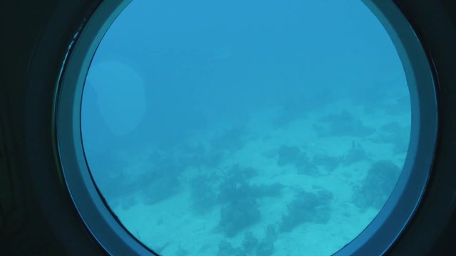 Underwater shots in Barboados