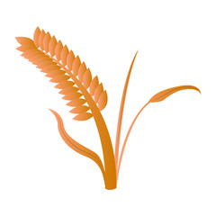 Isolated wheat grain image. Vector illustration design
