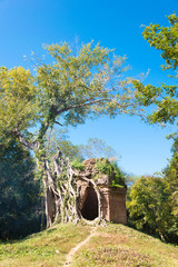 Fototapety na wymiar - Fototapeta24.pl