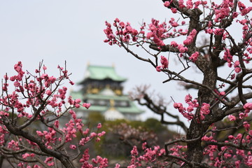 梅とお城
