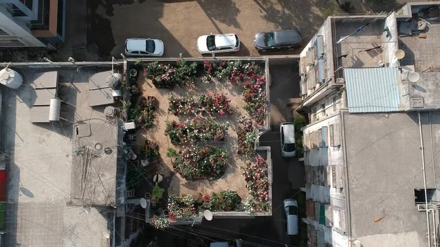 Rose garden on the roof | Aerial Stock Footage | Flower Experts | Roof top | India | Roof | Flowers
