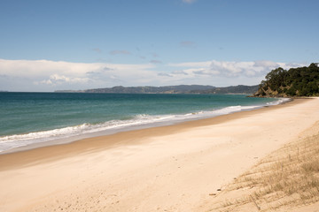 tropical beach