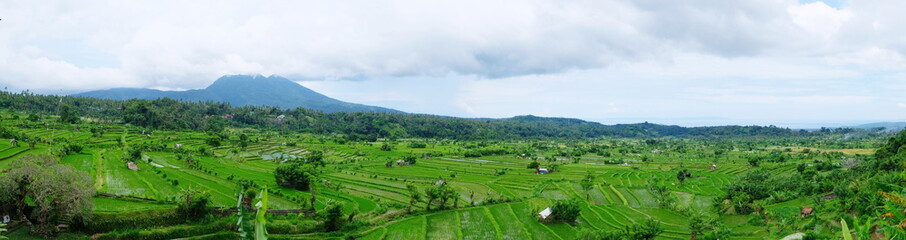 Fototapeta na wymiar A panoramic view on a rice fields and terasse, ocean coastline and volcanic mountains, Bali, Indonesia