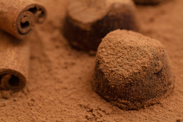 Truffle chocolate candies on cocoa powder. Gourmet food, delicious dessert.