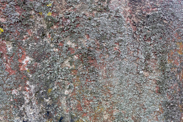 Old Concrete Wall Texture