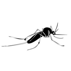 silhouette black and white mosquito