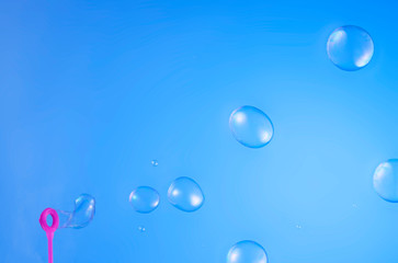 Soap bubbles isolated on blue background