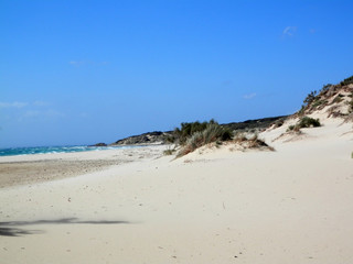 Fototapeta na wymiar Deserted beach on windy day