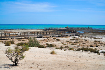Heritage–listed Hamelin Pools in the  Shark Bay area