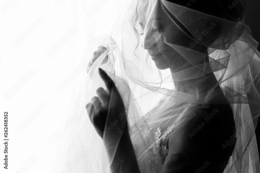 Canvas Prints Beautiful young bride holding veil in white wedding dress, portrait of brunette bride posing near window in hotel room, morning before the wedding