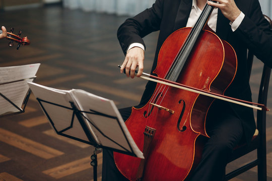 Elegant string quartet performing at wedding reception in restaurant, handsome man in suits playing violin and cello at theatre play orchestra close-up, music concept