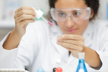 Fototapeta premium female scientist using pipettes in lab