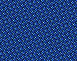 Fototapeta na wymiar Seamless tartan plaid pattern. fabric pattern. Checkered texture for clothing fabric prints, web design, home textile