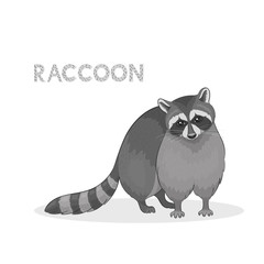 Vector illustration, a cartoon cute raccoon, isolated on a white background. Animal alphabet.