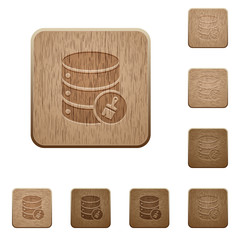 Database paste data wooden buttons