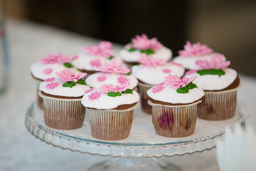 Cake for a buffet table. A group of small cupcakes decorated with pink cream flowers.