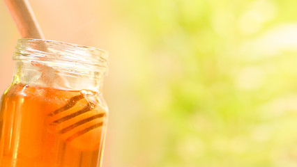 Fresh honey healthy food / Close up of sweet honey in jar with wooden dipper