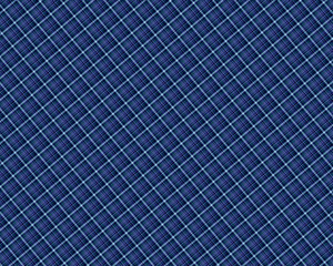 Fototapeta na wymiar Seamless plaid pattern. fabric pattern. Checkered texture for clothing fabric prints, web design, home textile