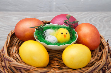 Easter eggs with chicken on a wooden basket on a gray background. Congratulatory card with Easter.